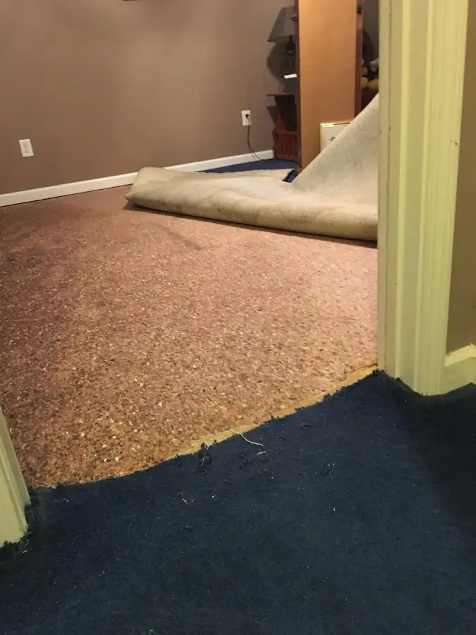 Carpet pad removal revealing water damage during Drying & Dehumidification in Irvington
